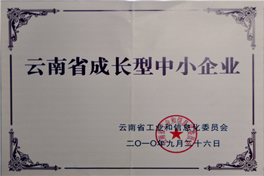 企業(yè)榮譽(yù)12